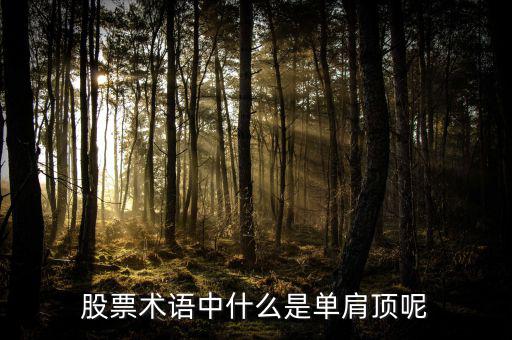 復(fù)肩頂股票里什么意思，頭頂肩在股市中是什么意思
