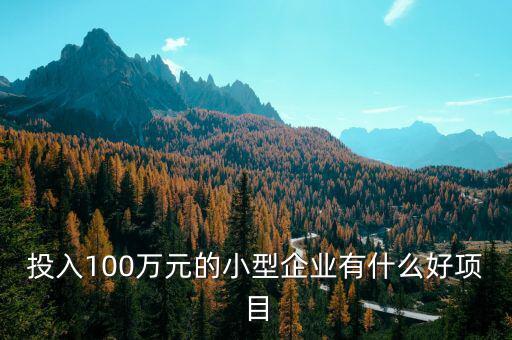 什么企業(yè)愛投資項(xiàng)目，投入100萬元的小型企業(yè)有什么好項(xiàng)目