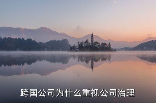 為什么要公司治理，索尼公司為何要進(jìn)行公司治理改革