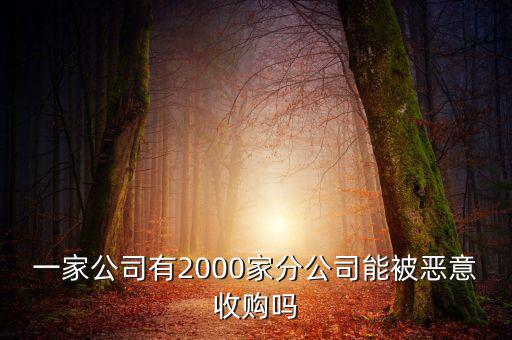 初靈信息為什么要并購(gòu)，一家公司有2000家分公司能被惡意收購(gòu)嗎