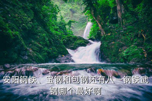 安陽鋼鐵、寶鋼和包鋼還有八一鋼鐵武鋼哪個(gè)最好啊