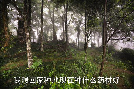 減地種什么藥財好，那位老板推薦下山地適合種什么藥材啊 耐旱收益快的最好  問