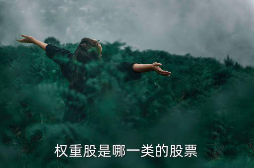 權(quán)重股是什么意思，權(quán)重股是哪一類的股票