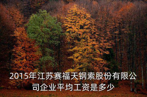 賽福天是什么公司，2015年江蘇賽福天鋼索股份有限公司企業(yè)平均工資是多少