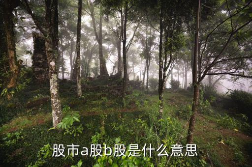 滬市a股是什么意思，什么是A股