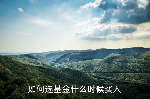 一只基金什么點(diǎn)買(mǎi)入好，我想買(mǎi)點(diǎn)基金哪一種比較好