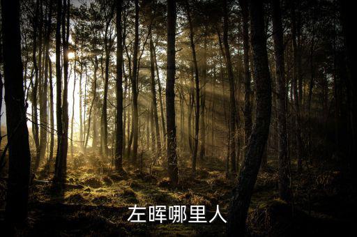 左暉靠什么起家，左暉與左東華什么關(guān)系