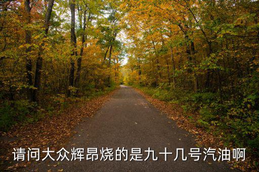 什么車(chē)燒90號(hào)汽油，請(qǐng)問(wèn)大眾輝昂燒的是九十幾號(hào)汽油啊