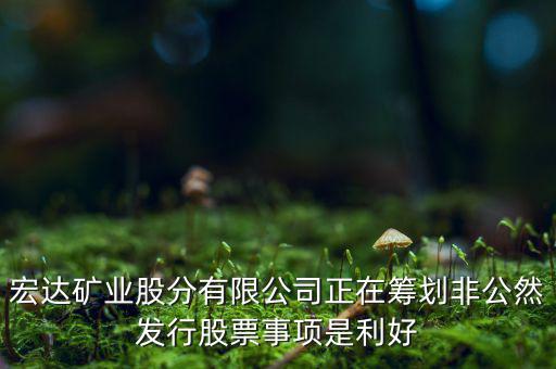 宏達(dá)礦業(yè)什么重大事項(xiàng)，請教600687停盤說是因?yàn)楹藢?shí)公司相關(guān)重大事項(xiàng)這個(gè)重大事項(xiàng)有知