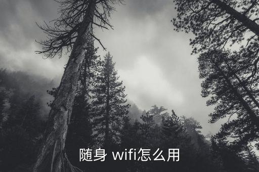 達(dá)美航空wifi怎么用,移動(dòng)便攜wifi怎么用