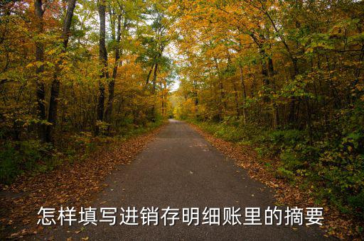 購入存貨摘要是什么，如果是進貨那么存貨分類帳上的摘要寫什么