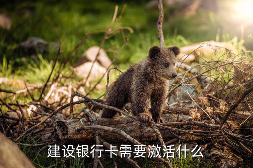 建行信用卡激活需要什么，激活信用卡需要準備什么東西身份證和戶口本