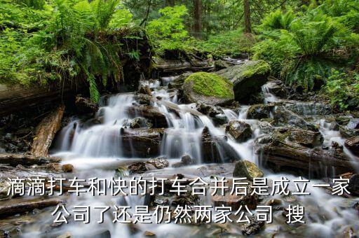 滴滴快的合并后叫什么，滴滴打車和快的打車合并后是成立一家公司了還是仍然兩家公司  搜