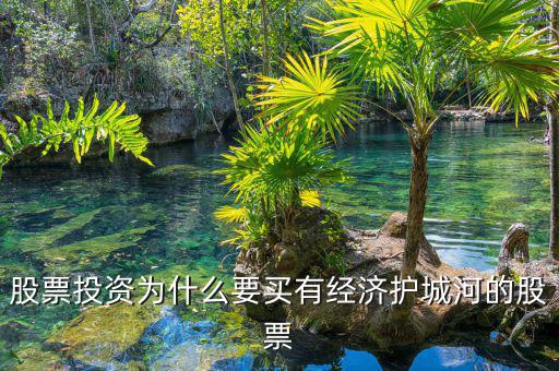 什么是股票投資的護(hù)城河理論，從基本面看證券投資的護(hù)城河是指哪幾類情況