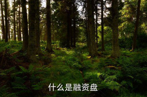 什么是融資盤(pán)