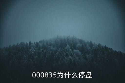 000835為什么停盤(pán)
