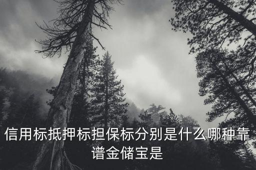 擔(dān)保標(biāo)是什么意思，信用標(biāo)抵押標(biāo)擔(dān)保標(biāo)分別是什么哪種靠譜金儲(chǔ)寶是