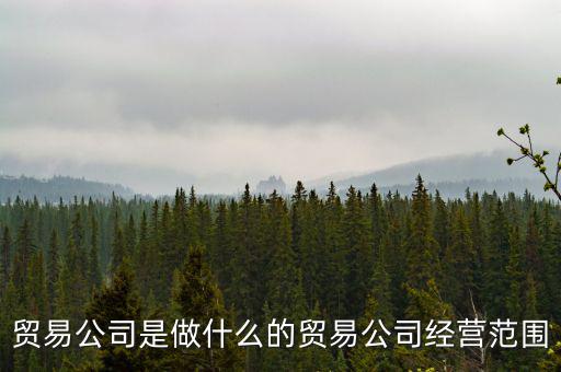 民百集團經(jīng)營什么，貿(mào)易公司是做什么的貿(mào)易公司經(jīng)營范圍