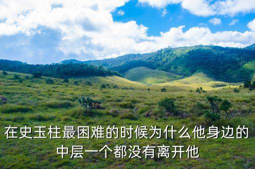 史玉柱為什么辭職，巨人史玉柱破產(chǎn)的原因是什么