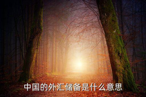 中國(guó)外匯儲(chǔ)備包括什么，我國(guó)外匯儲(chǔ)備