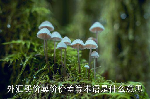 外匯買價賣價價差等術語是什么意思