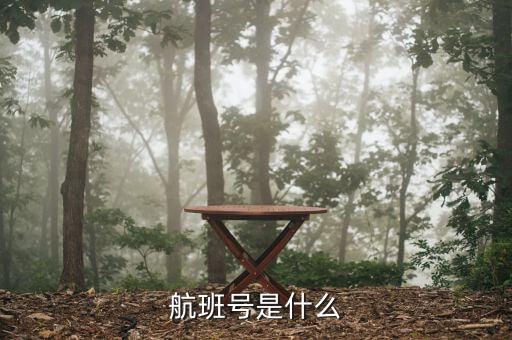 航班號ms什么，MS是什么航空