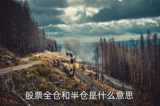 股票全倉(cāng)是什么意思，股票全倉(cāng)和半倉(cāng)是什么意思