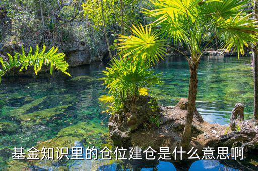 基金建倉什么意思，建倉是什么意思