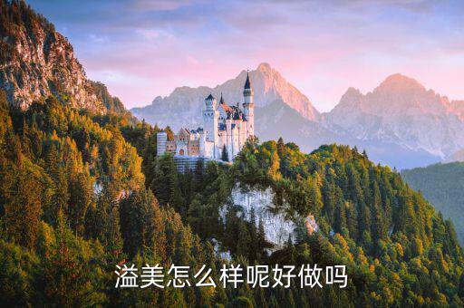溢美金融做什么的，哪家保理公司的做的好