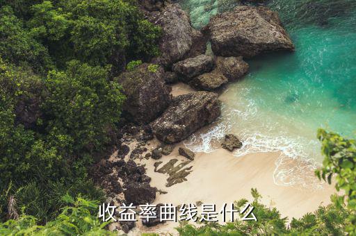 收益曲線是什么的利率曲線，收益率曲線是甚么