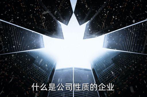 中期集團是什么性質的企業(yè)，集團是什么性質的公司