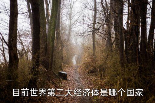 中國什么時候成為第二大經(jīng)濟(jì)體，中國成為世界第二大經(jīng)濟(jì)體是什么時候