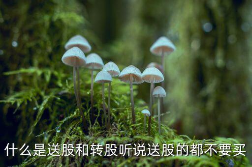 什么是送股和轉(zhuǎn)股聽說(shuō)送股的都不要買