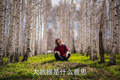 大數(shù)據(jù)什么意思，簡(jiǎn)述什么是大數(shù)據(jù)