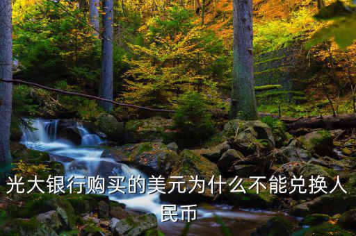 光大銀行購(gòu)買(mǎi)的美元為什么不能兌換人民幣