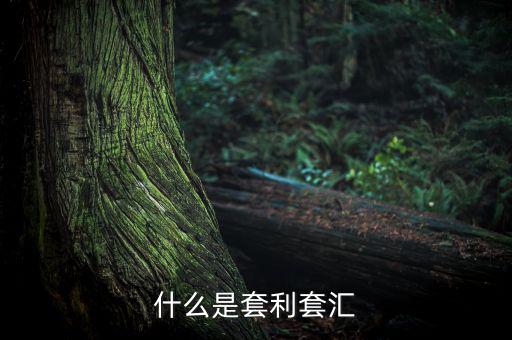 外匯套利是什么意思，什么是外匯期貨套利交易