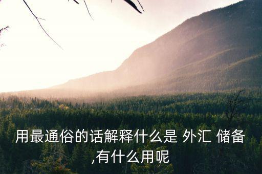 用最通俗的話(huà)解釋什么是 外匯 儲(chǔ)備,有什么用呢