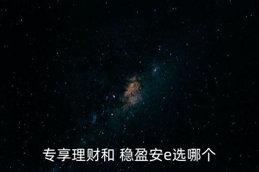 專享理財(cái)和 穩(wěn)盈安e選哪個