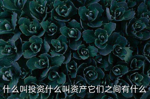 什么叫可投資資產(chǎn)，什么叫個人可投資資產(chǎn)懂的答有分送呦