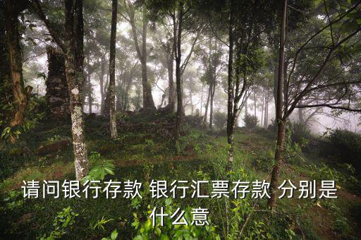 請(qǐng)問(wèn)銀行存款 銀行匯票存款 分別是什么意