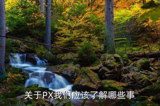 px項(xiàng)目是干什么的，關(guān)于PX我們應(yīng)該了解哪些事
