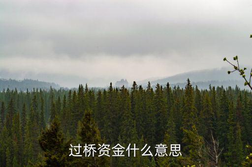 什么叫過(guò)橋資金，什么叫做過(guò)橋資金