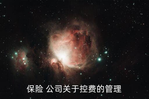 海虹控股公司怎么樣,醫(yī)療it公司才剛開(kāi)始推進(jìn)醫(yī)?？刭M(fèi)系統(tǒng)