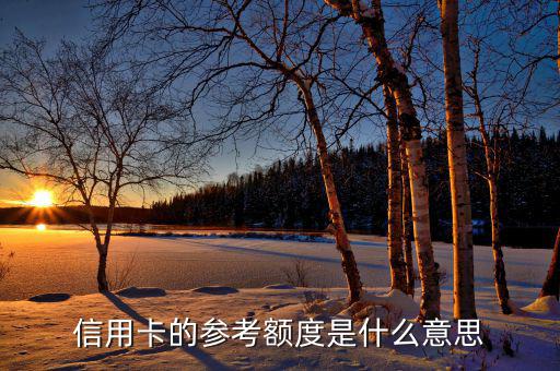 信用卡額度是什么意思，信用卡的參考額度是什么意思