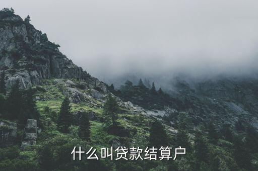 什么是有貸戶，什么叫居民戶貸款