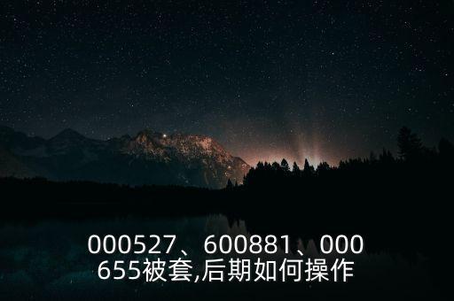 000527、600881、000655被套,后期如何操作