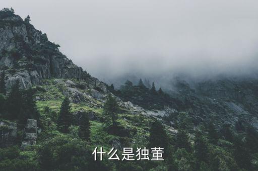 什么是官員獨(dú)董，懂事和獨(dú)立董事有什么區(qū)別都起有什么作用
