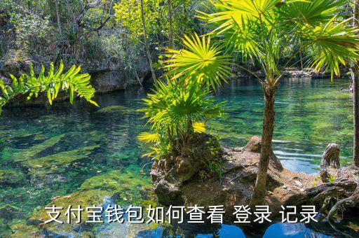  支付寶錢(qián)包如何查看 登錄 記錄