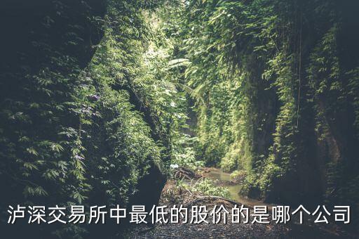 瀘a最便宜的股是什么股，A股最便宜的股票是什么股
