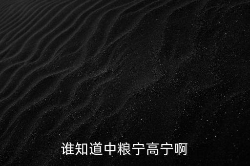 寧高寧為什么離開華潤，誰知道中糧寧高寧啊